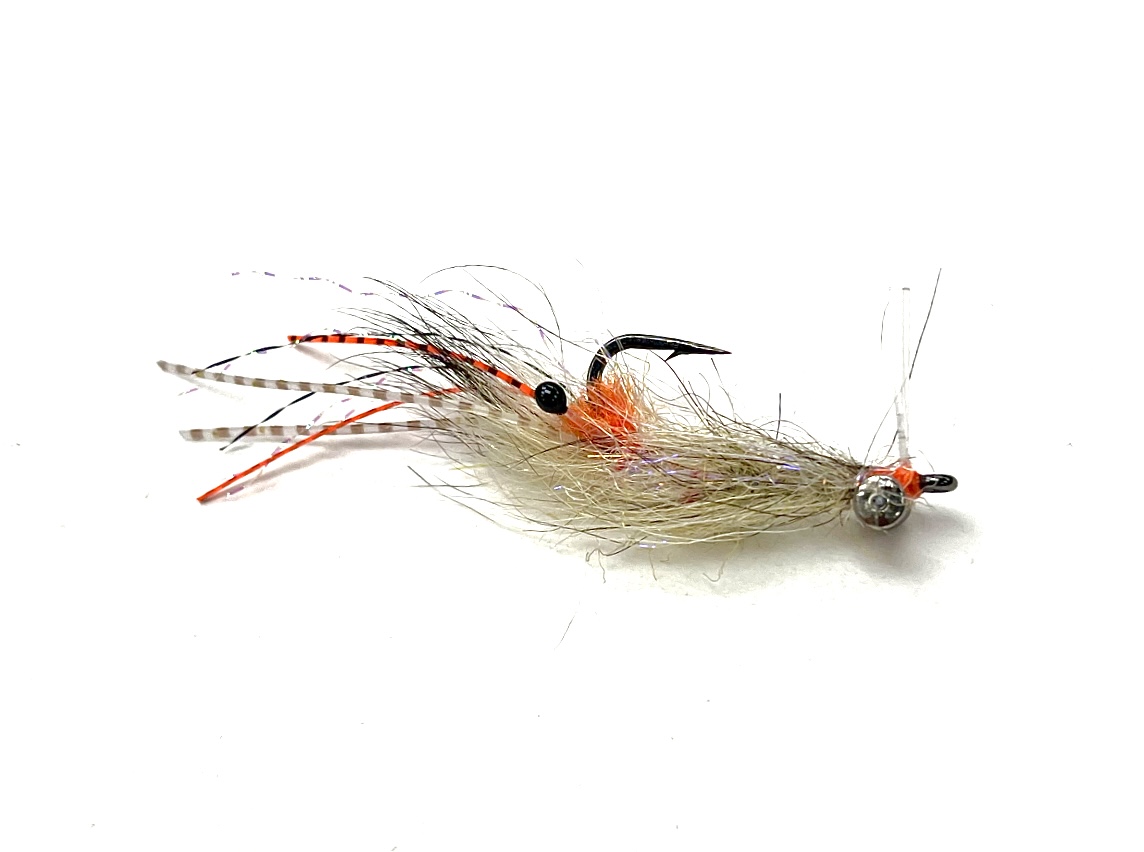 Spawning Shrimp - Coyote